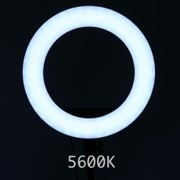 Ring Light / lampa pierścieniowa do makijażu, salonów, selfie, youtuberów i studiów do oświetlenia. 60 watów